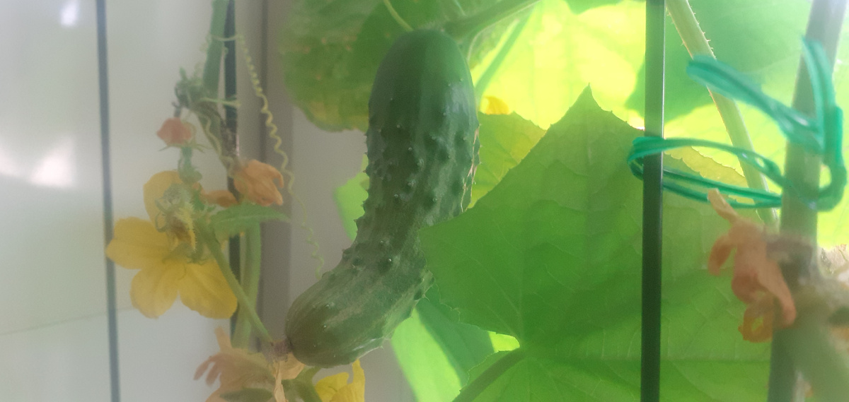 фото от 31.03.2026