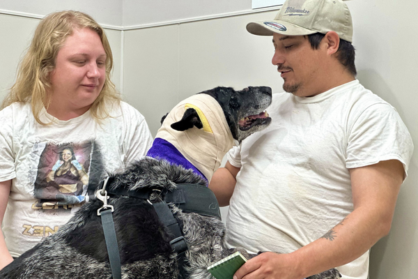 Española Humane   📷