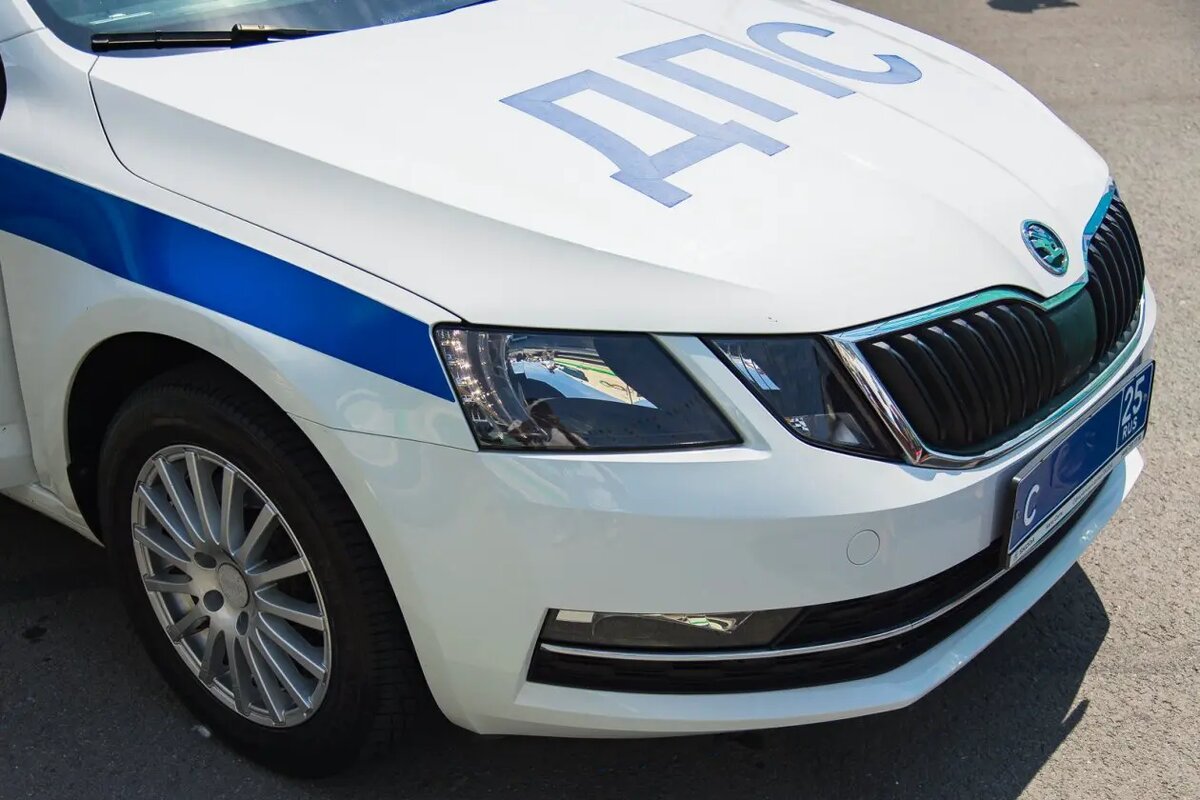    Источник: primamedia.ru/ Виктор Павлов