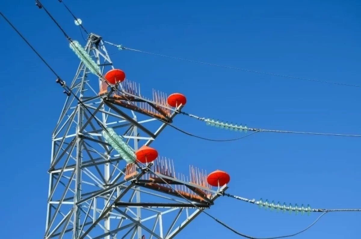    На линиях электропередачи в СКФО установят 4 тысячи птицезащитных устройств