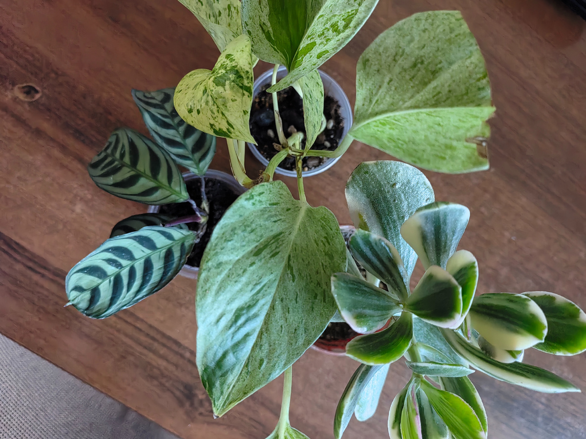 Малыши вырастут очень быстро. Фото автора.