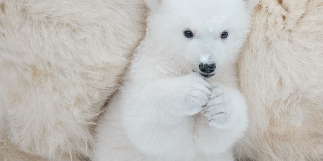 У Герды и Кая родился МАЛЬЧИК!