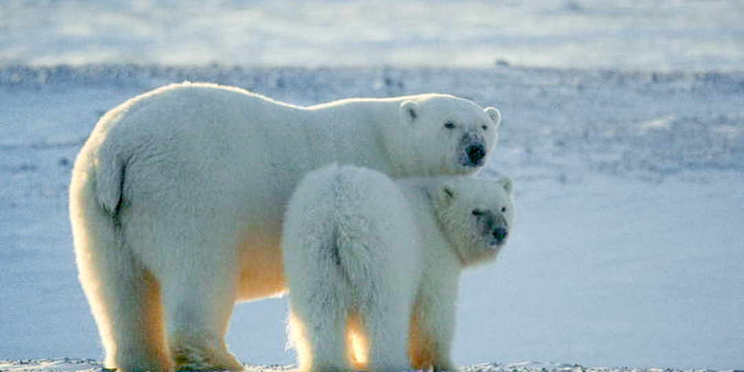 Заповедный дайджест. Март 2026