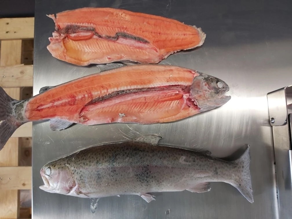 Заморозка филе форели (лососевых) в электромагнитной шоковой камере.