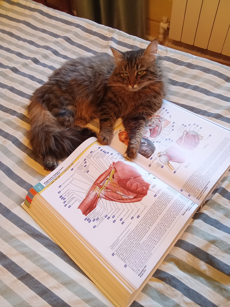 Как можно такие глаза под когти подставлять?