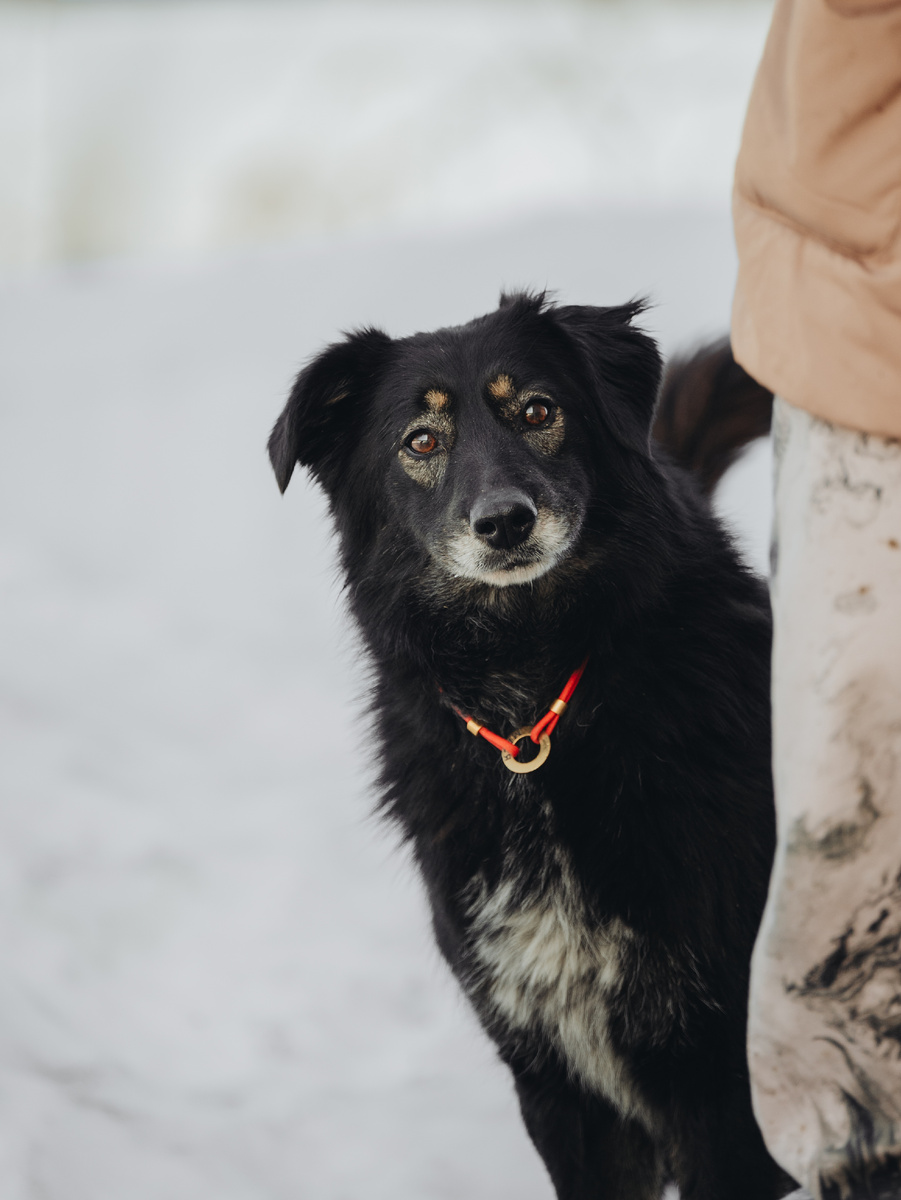 Катя, кто там? Это мои мама и папа что ли?