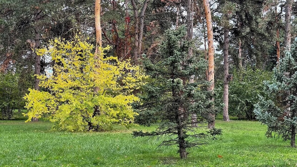    Фото: телеканал «Краснодар»