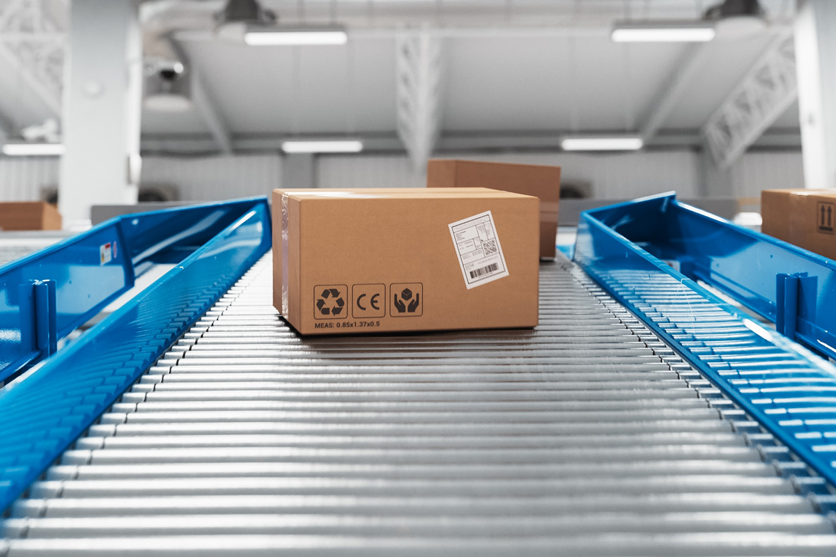    Фото: Gorodenkoff / Shutterstock.com