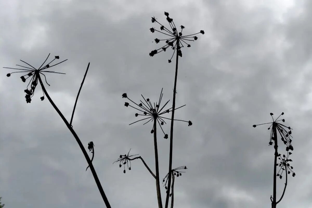 Фото: UfacityNews.ru