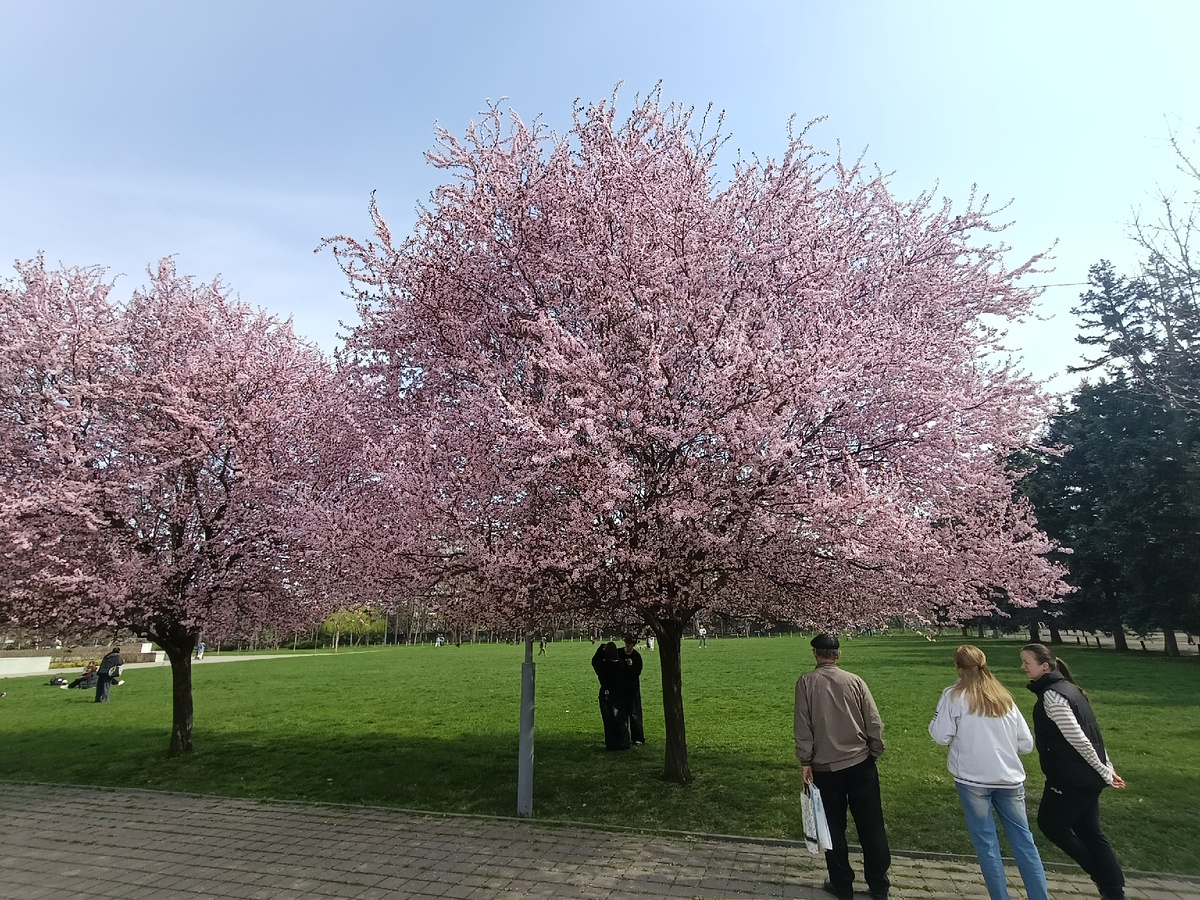 Жизнь выбирает позитив. Всегда