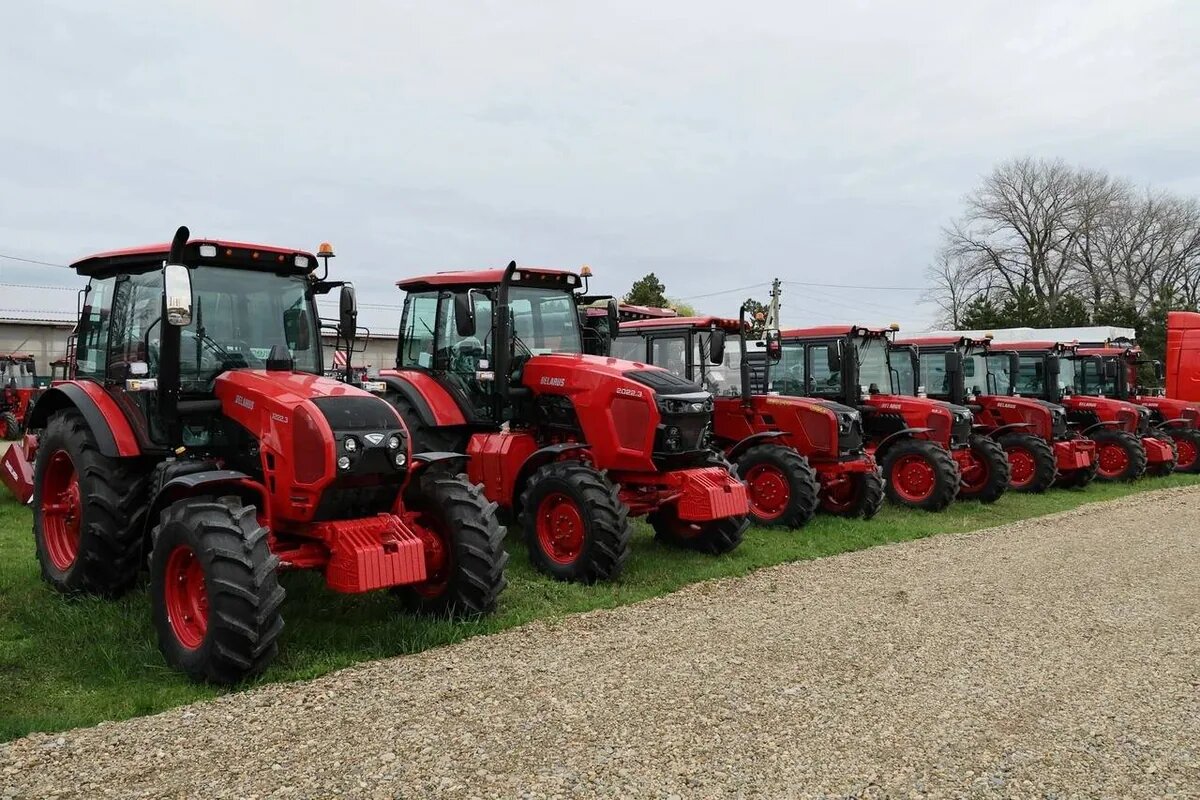    Фото t.me/kondratyevvi