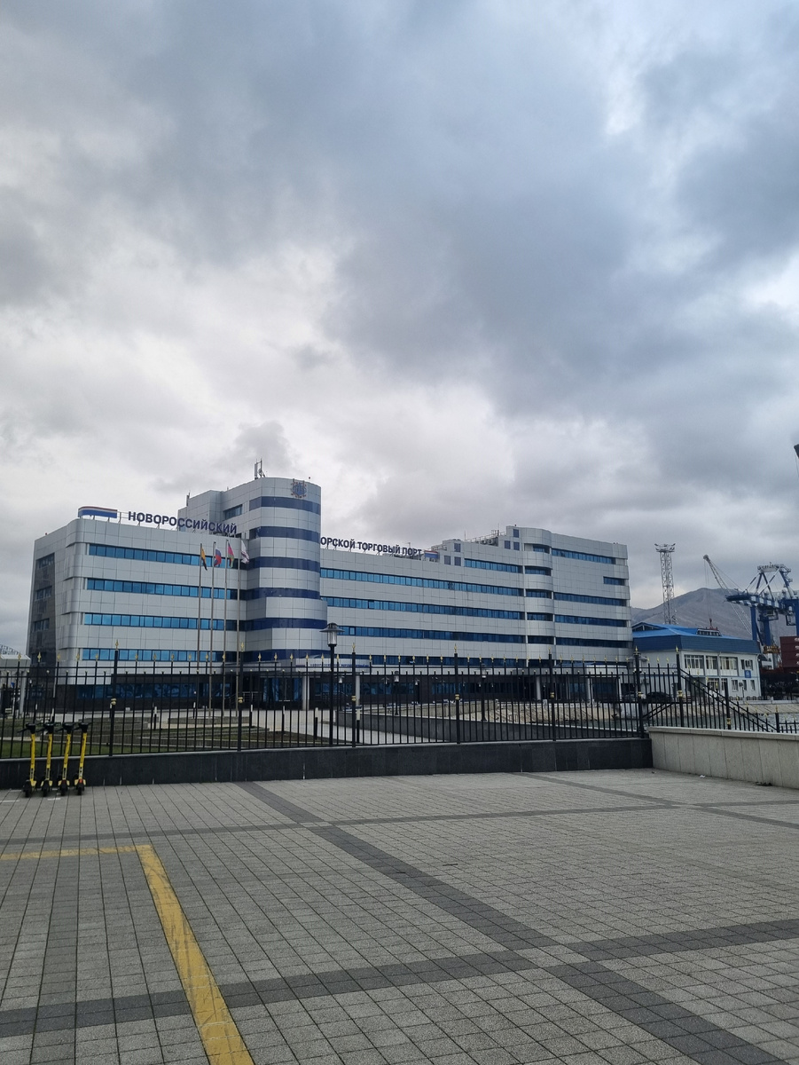Фото автора, февраль 2026 г.