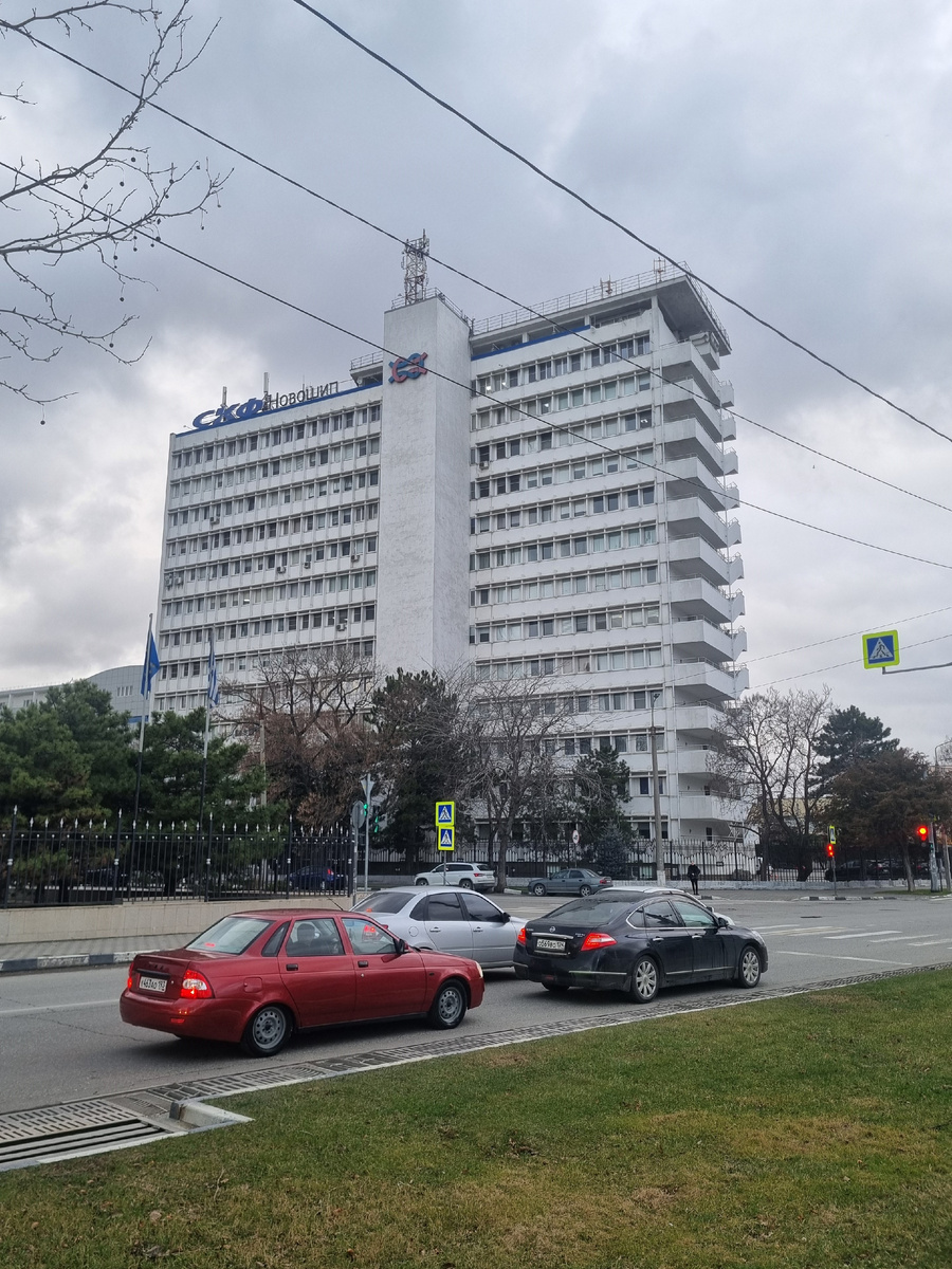 Фото автора, февраль 2026 г.