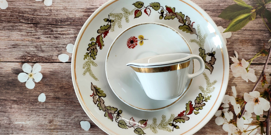 Винтаж. В коллекцию Рижская. Ч.13. Споемте, друзья! Ария рижского гостя и его подпевал 😸