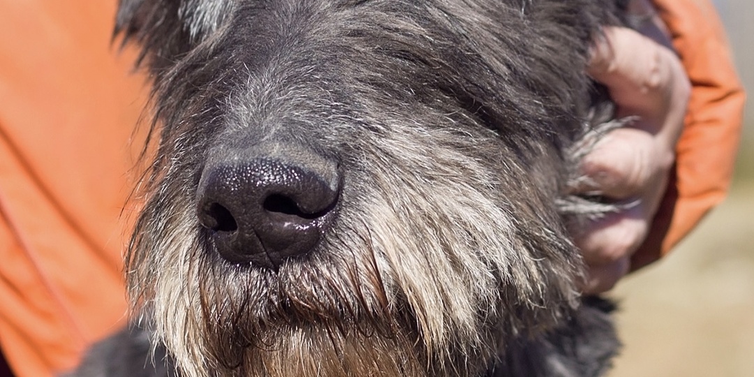 Девочкам нужна ваша помощь ❤️‍🩹