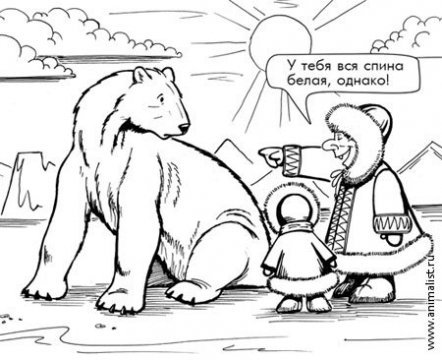 Здесь и далее картинки из свободного доступа в интернете