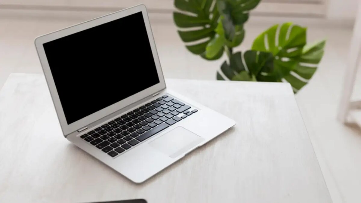    Ноутбук. © freepik.com