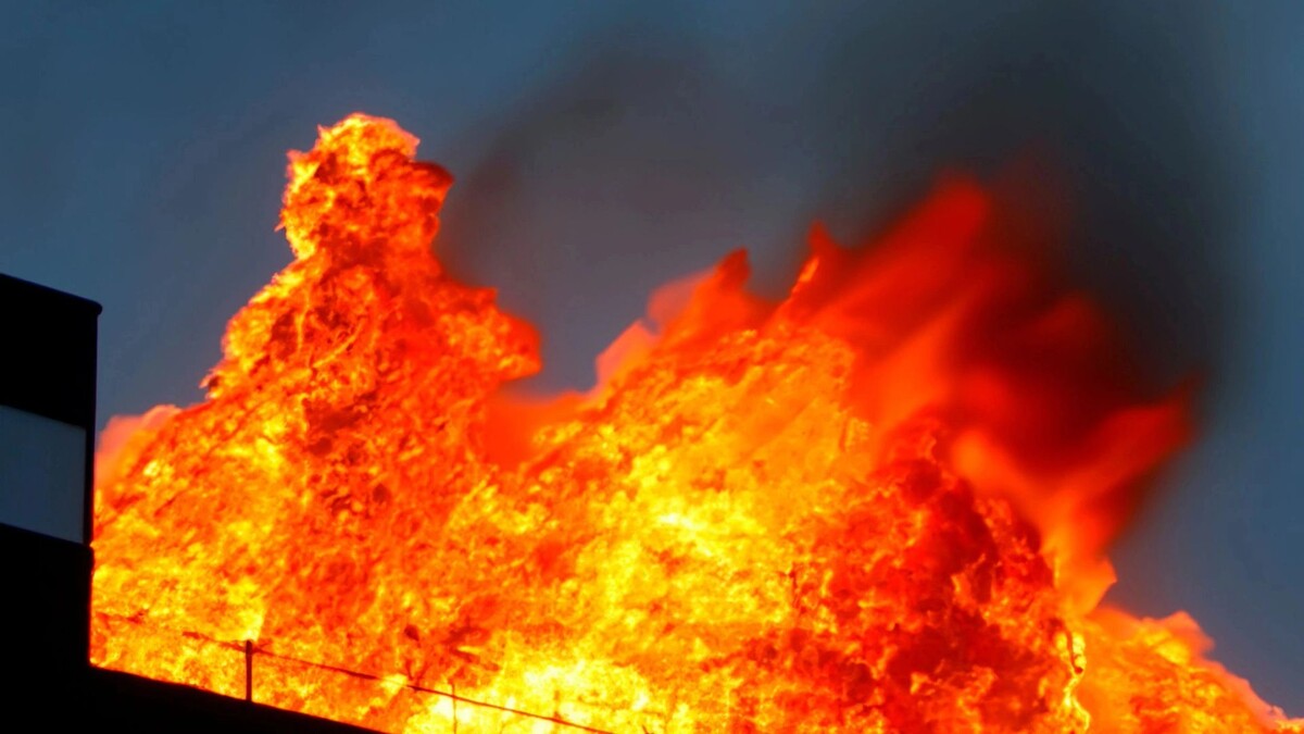    Фото: Fernando Astasio Avila/Shutterstock/Fotodom