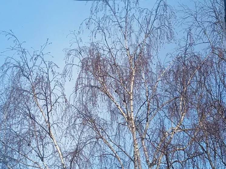     1 апреля облачность в Новгородской области уменьшится. Фото: архив МК в Великом Новгороде / Майя Боржемская