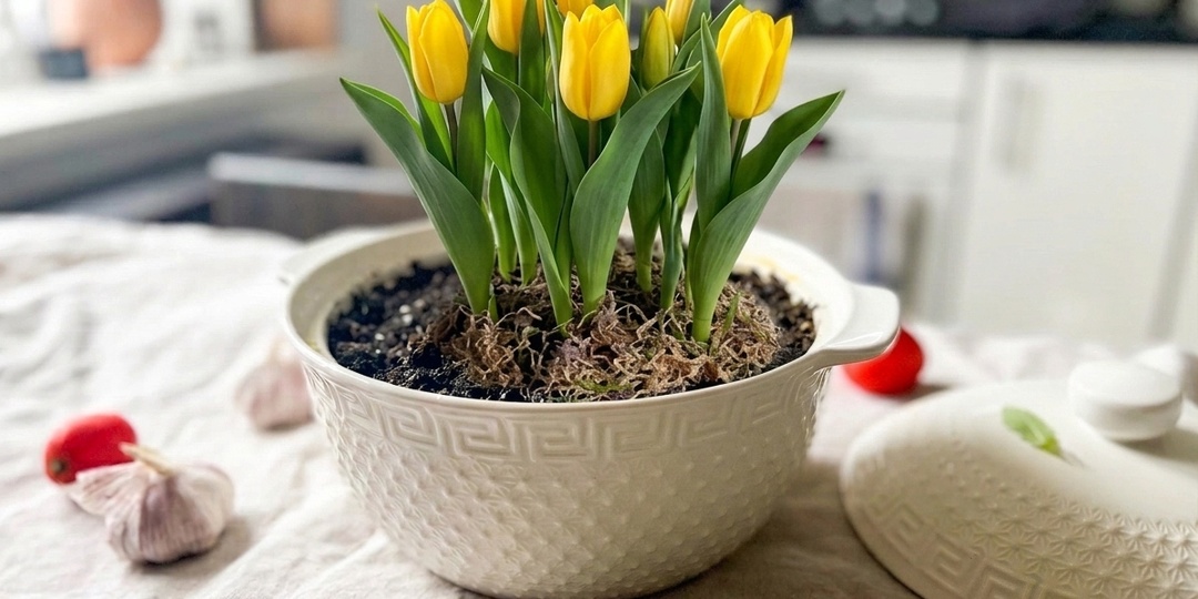 Как я насмотрелась роликов про тюльпаны, потратилась и теперь жалею