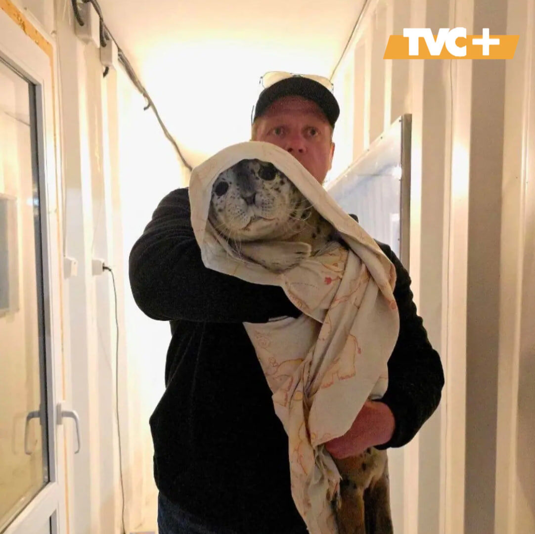 Фото взято из соцсетей