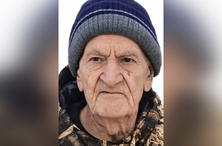 Воронежский пенсионер пошёл гулять с собакой и пропал