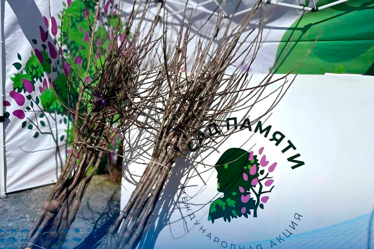    Фото: Правительство КЧР