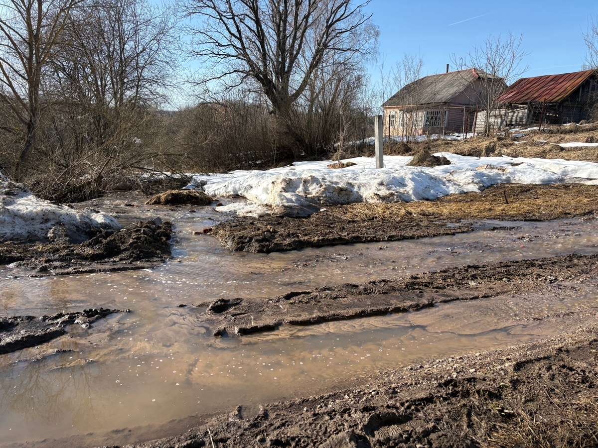 Фото: Тульская служба новостей