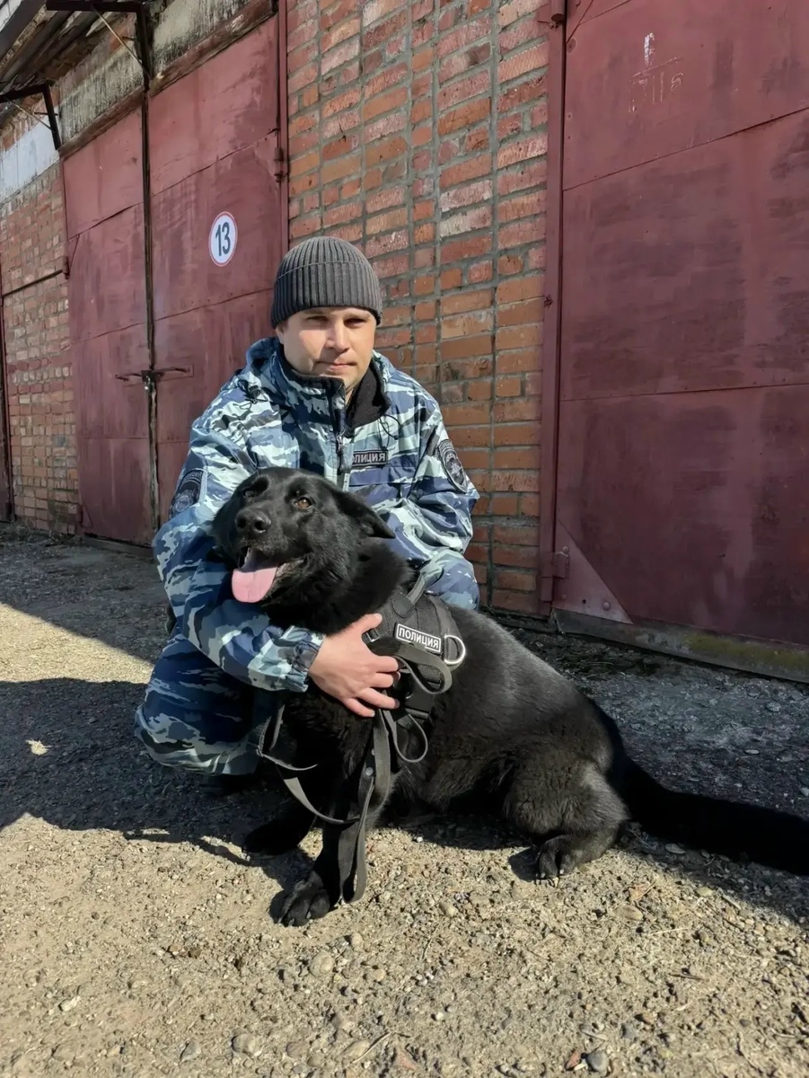    Фото: пресс-служба УМВД РФ по Кировской области