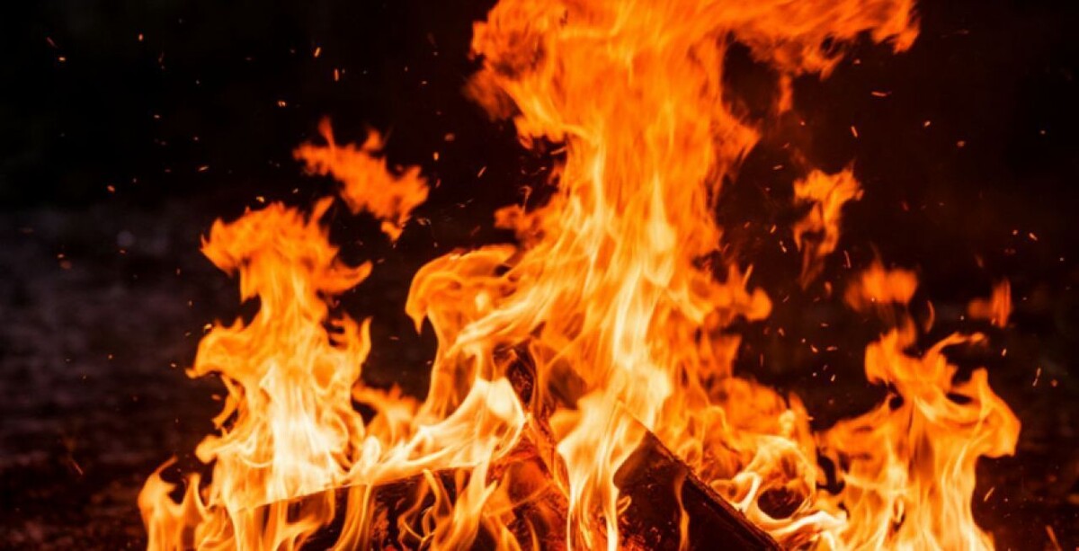    Фото: сгенерировано ии