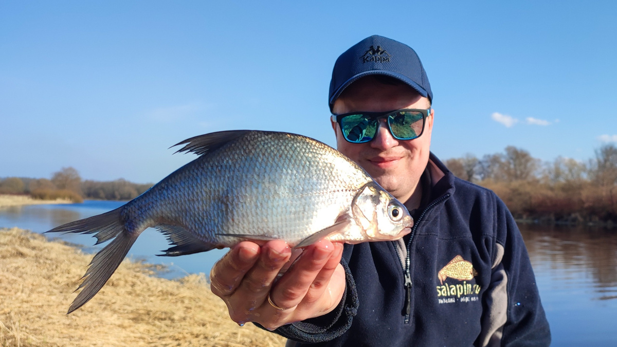 Весенний лайт-фидер на Шелони (29.03.2026)