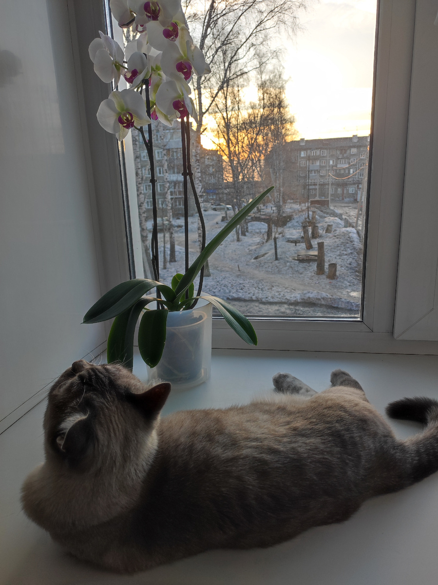 Фото автора 