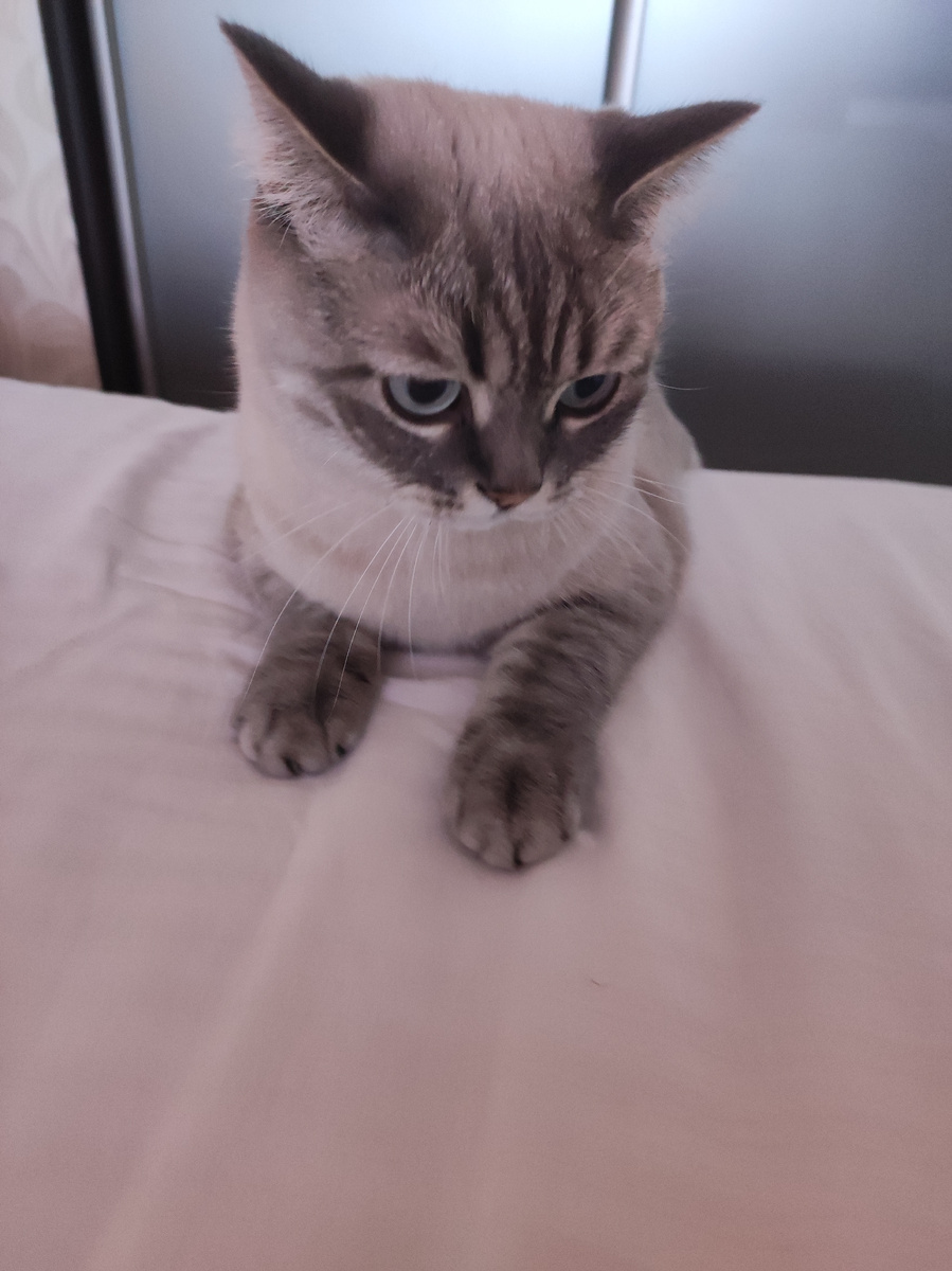 Фото автора 