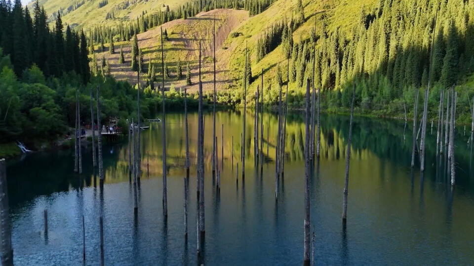 ФОТО: Кадр из программы "Невероятно интересные истории", РЕН ТВ