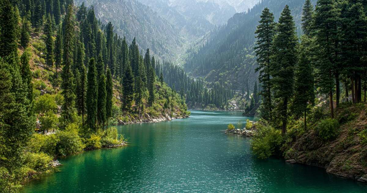 Фото: © РЕН ТВ