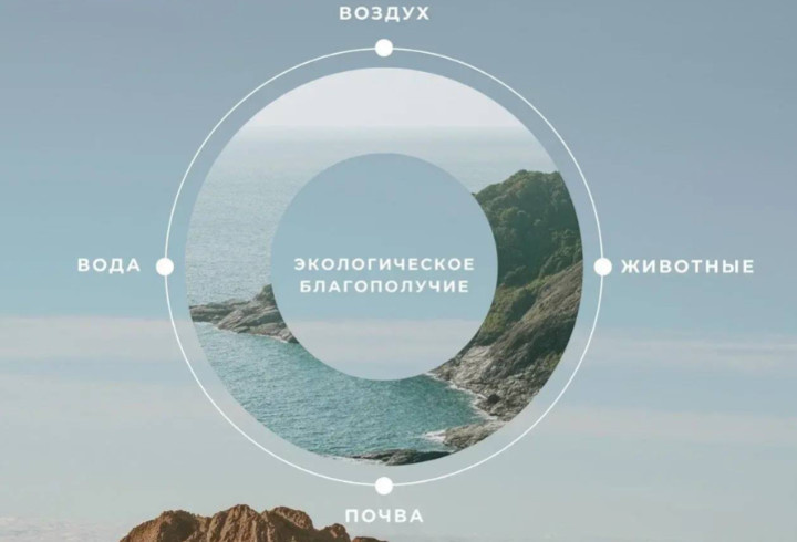 фото: Эконадзор Ленобласти