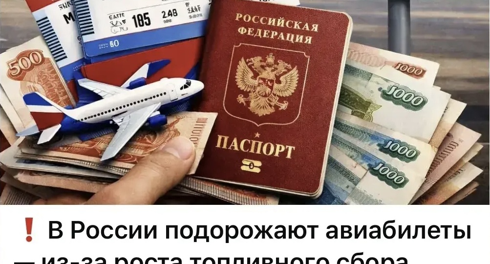 🛫 Авиабилеты по 100 000 рублей? Почему в 2026 году все едут в Сочи в Лазаревское и как успеть забронировать жилье.