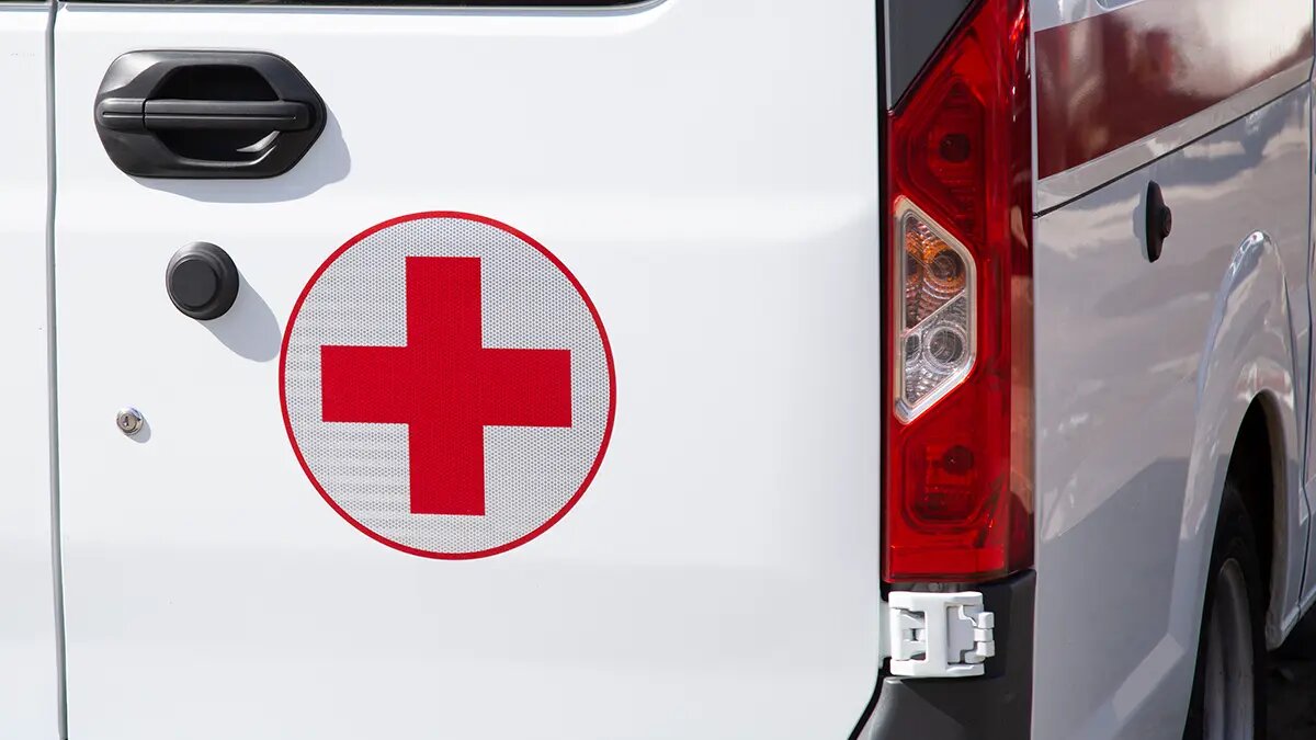    Источник: vm.ru/ Михаил Морозов