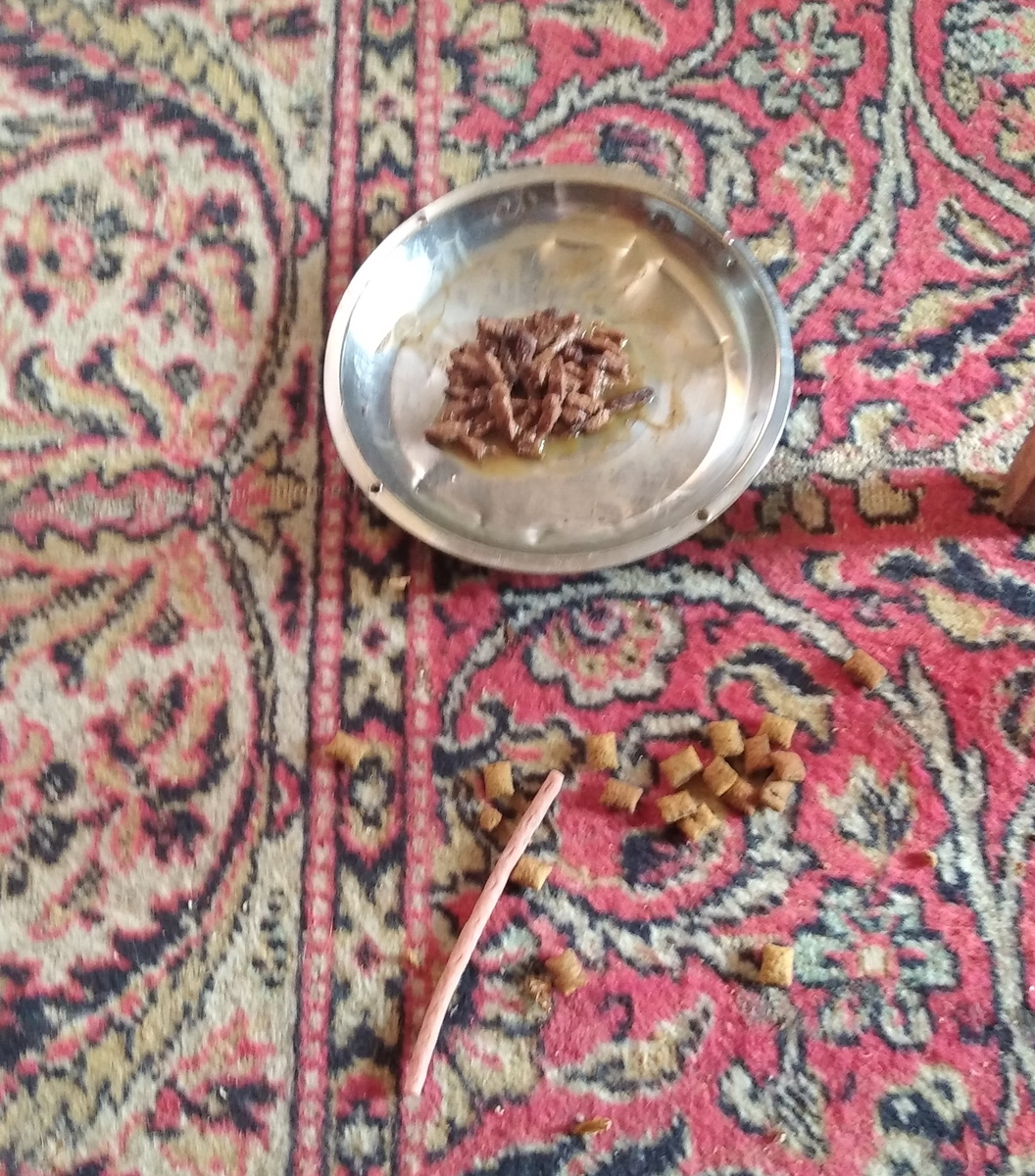 личное   фото
