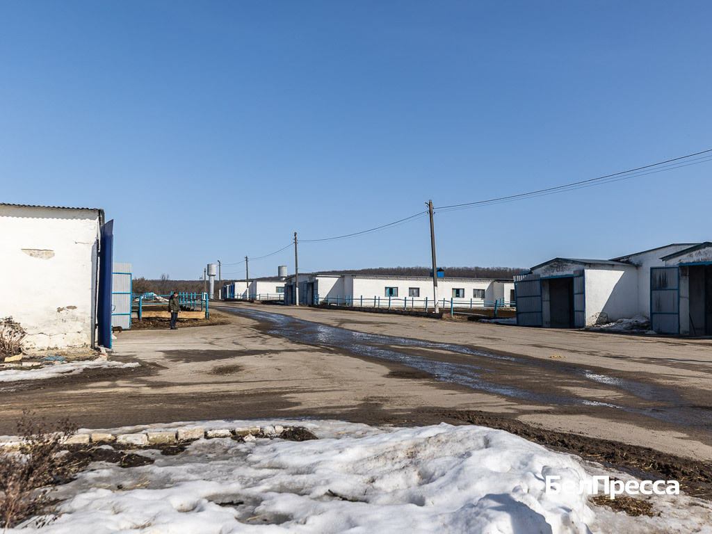    Фото: Алексей Дацковский