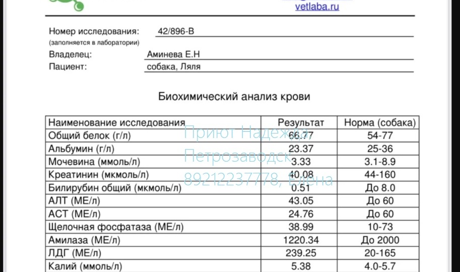 Ляле в стационаре стало немного лучше