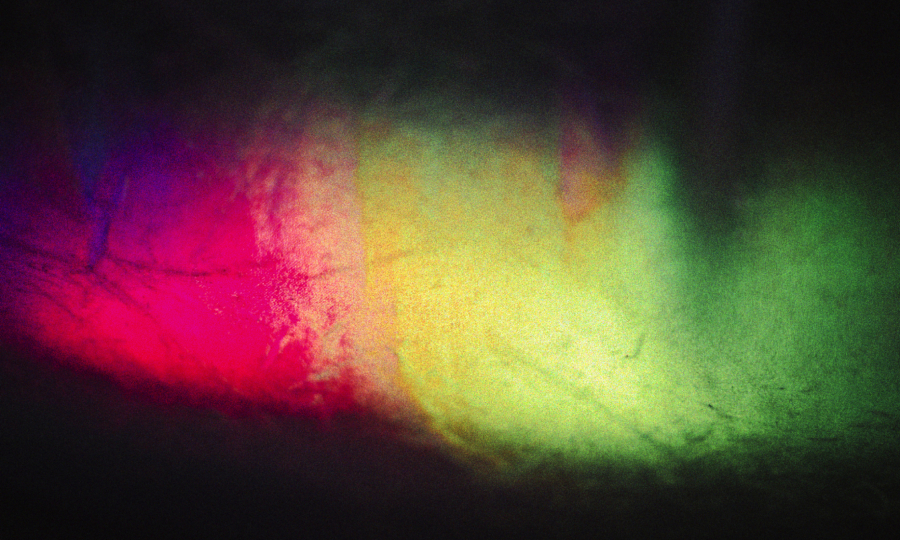 Лягушонок Пепе и змееподобное существо: что в России считается запрещенной символикой ЛГБТ