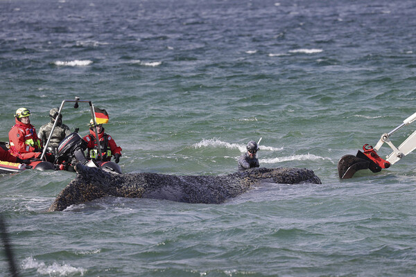 IMAGO/Susanne H.bner, Susanne Hu/Global Look Press   📷