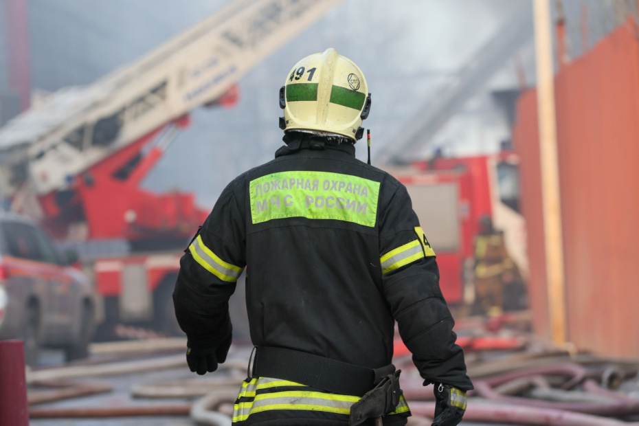    Алексей Белкин/NEWS.ru