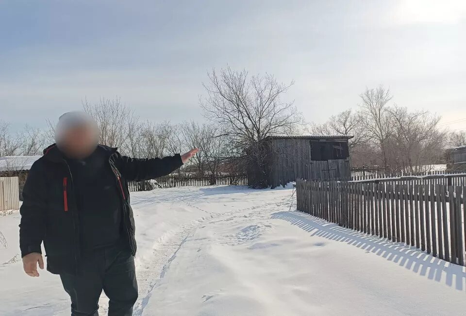    Мошенничество с отловом бездомных животных. Источник: Прокуратура Алтайского края