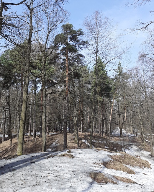 Фотография автора