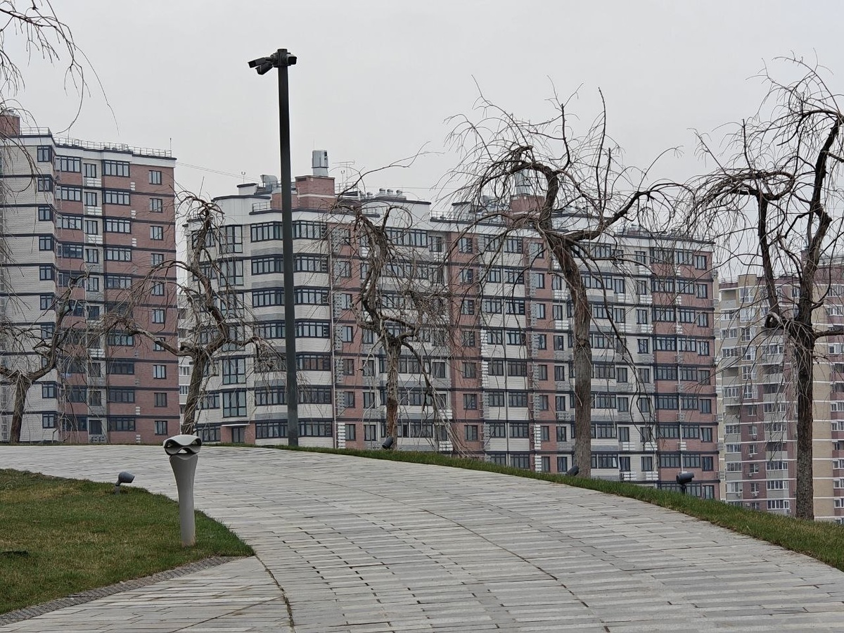    Фото: Юрий Серебренников/BFM Кубань