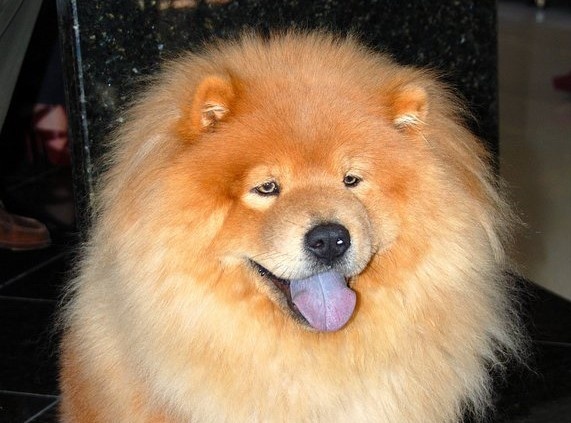 Источник: Википедия