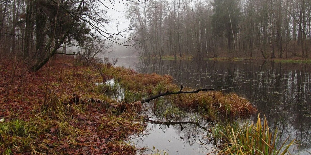 Пойди туда - не знаю куда...Глава 13