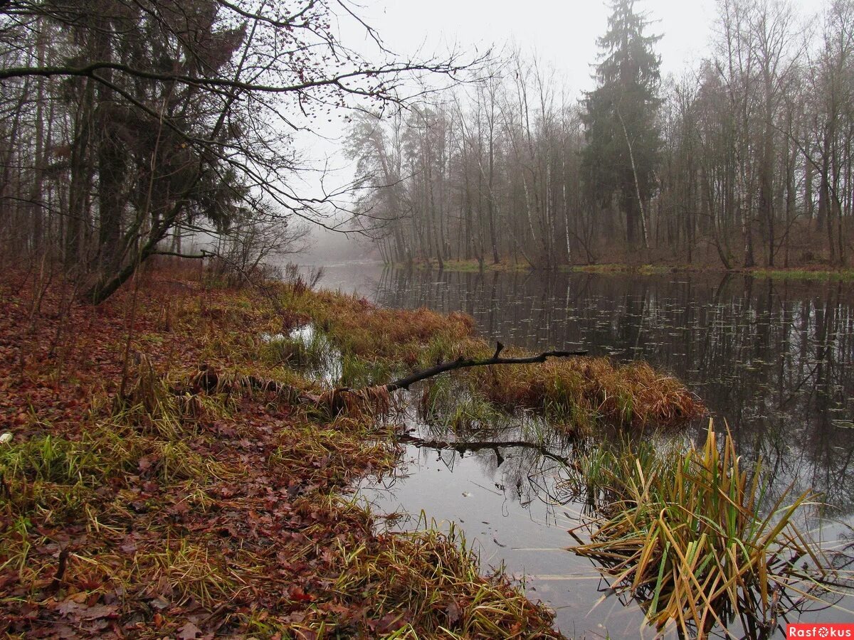 фото из интернета